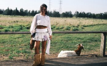 Mallrat standing in a grassy field.