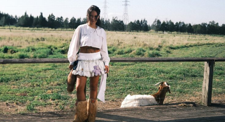 Mallrat standing in a grassy field.